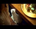 PDVD_338