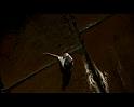 PDVD_355