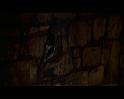 PDVD_356