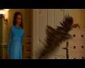 PDVD_612