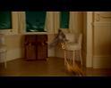 PDVD_613