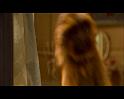 PDVD_616