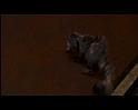 PDVD_647