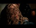 PDVD_649