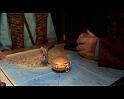 PDVD_738