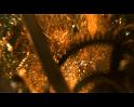 PDVD_786