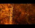PDVD_789
