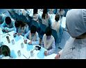 PDVD_807