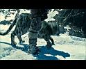 PDVD_846
