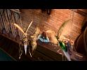PDVD_884