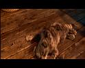 PDVD_887