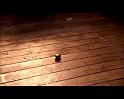PDVD_888