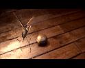 PDVD_889