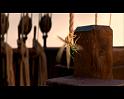 PDVD_894