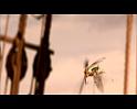 PDVD_895