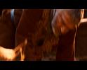 PDVD_898