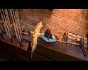 PDVD_906