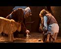 PDVD_925