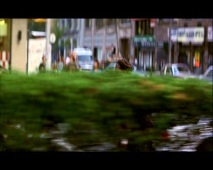 PDVD_1995.jpg