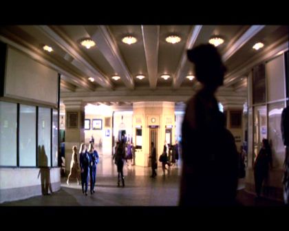 PDVD_2010.jpg