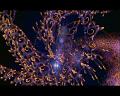PDVD_2215