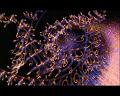 PDVD_2216