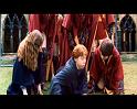 PDVD_1037