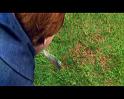 PDVD_1040