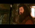 PDVD_1065