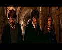 PDVD_1156