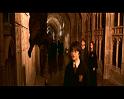PDVD_1169