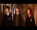 PDVD_1205