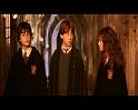 PDVD_1208