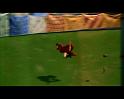 PDVD_1450