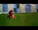PDVD_1451