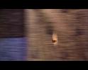 PDVD_1486