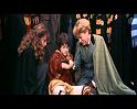 PDVD_1628
