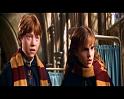PDVD_1648