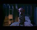 PDVD_1665