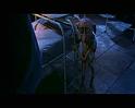 PDVD_1681