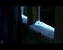 PDVD_2011