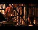 PDVD_2065