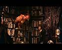 PDVD_2068