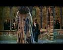 PDVD_2511