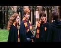 PDVD_2513