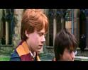 PDVD_2516