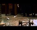 PDVD_2522