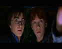 PDVD_2709