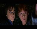 PDVD_2716