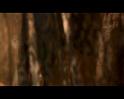 PDVD_2739